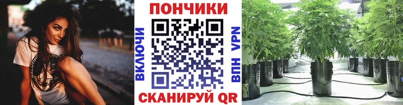 Купить закладку Ленинск мега ONION Меф мяу мяу СК ГАШИШ КОКАИН Каннабис